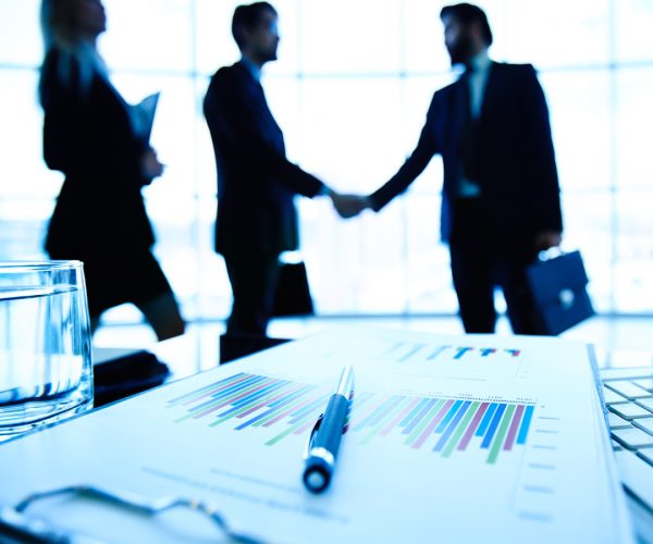 Share Market Promise